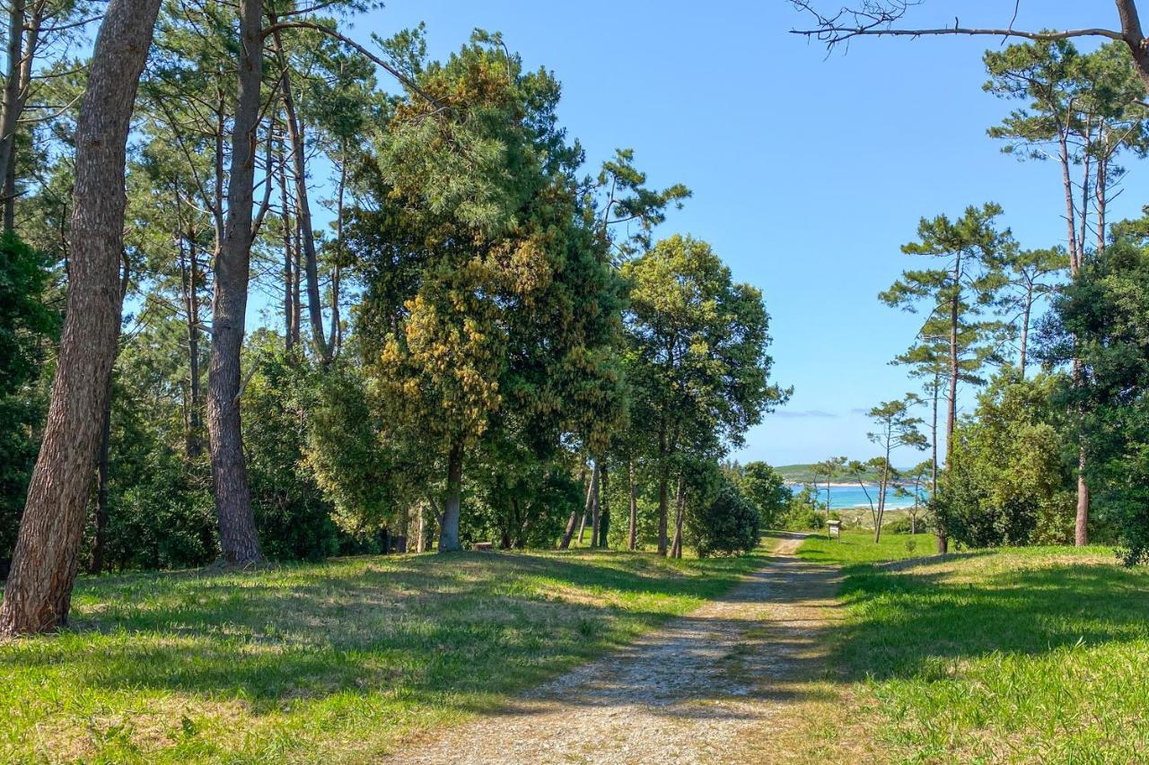 Somo Bungalow Resort - Camping Latas Экстерьер фото